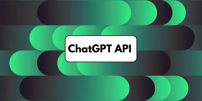 ChatGPT API 